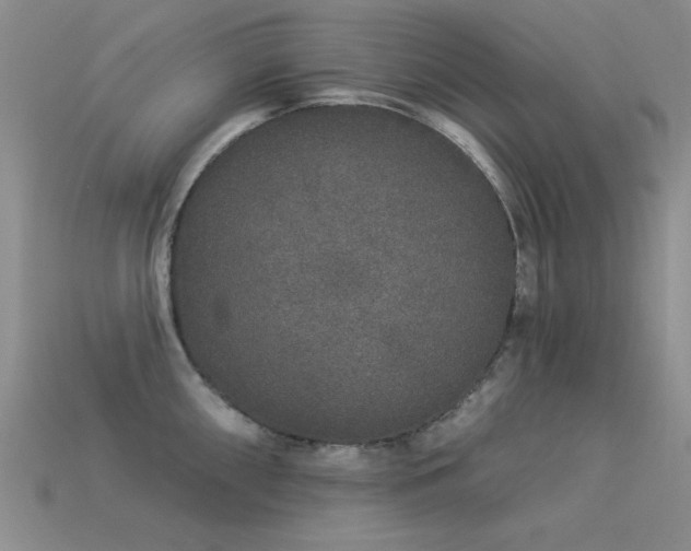 X0000113531098200909181130