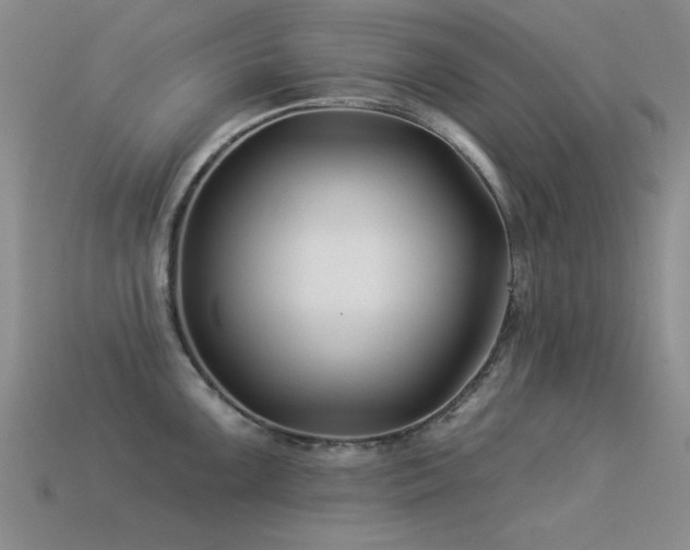 X0000113531099200909181130