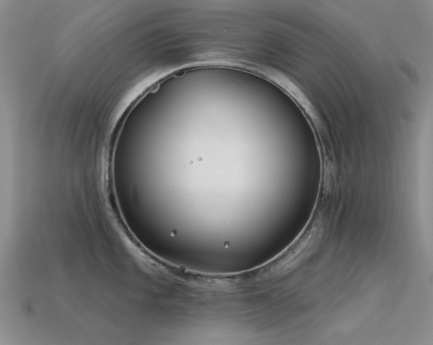 X0000113531101200909181130