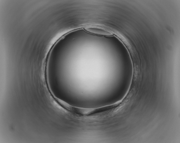 X0000113531102200909181130