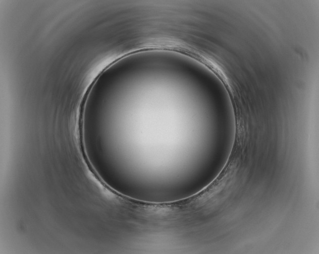 X0000113531103200909181130