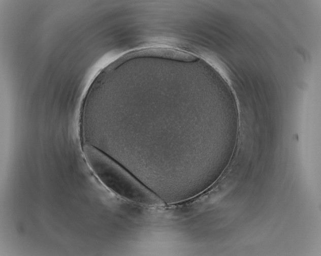 X0000113531104200909181130