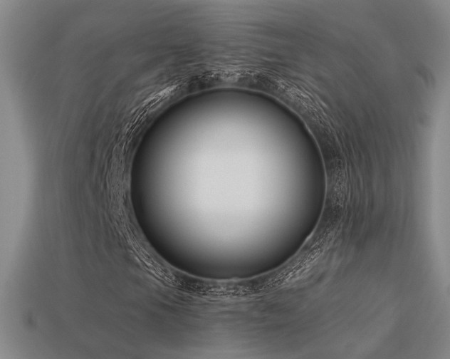 X0000113531105200909181129