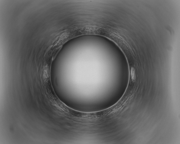 X0000113531107200909181129