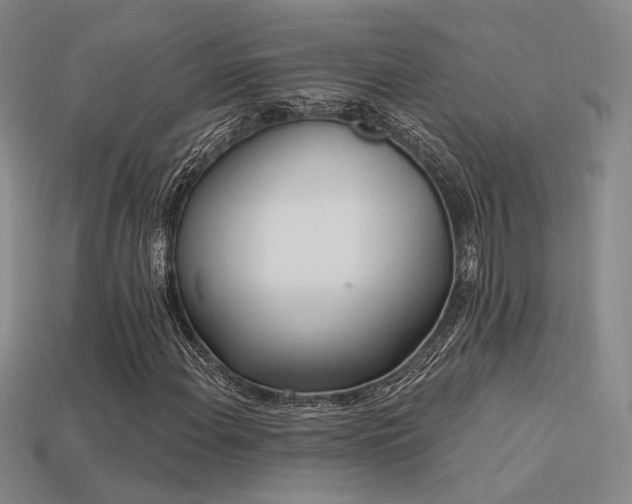 X0000113531108200909181129