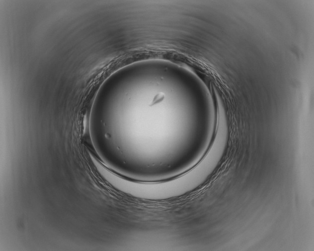 X0000113531110200909181129