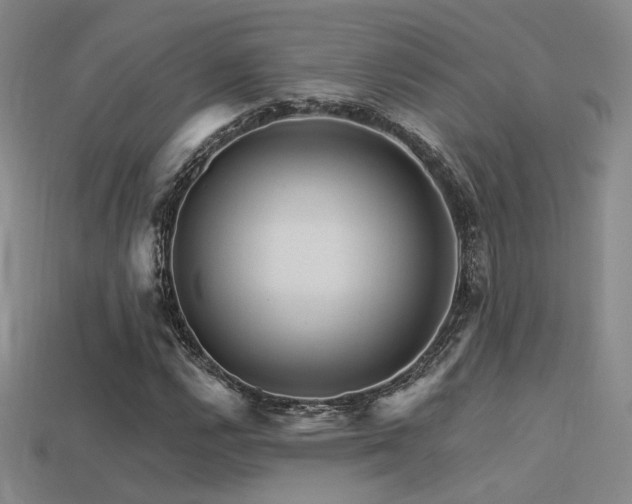 X0000113531112200909181129