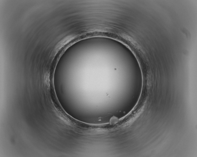 X0000113531113200909181129