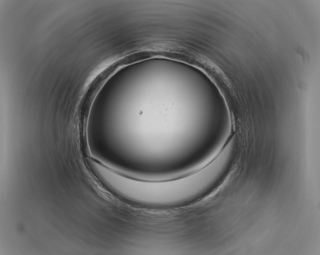 X0000113531114200909181129