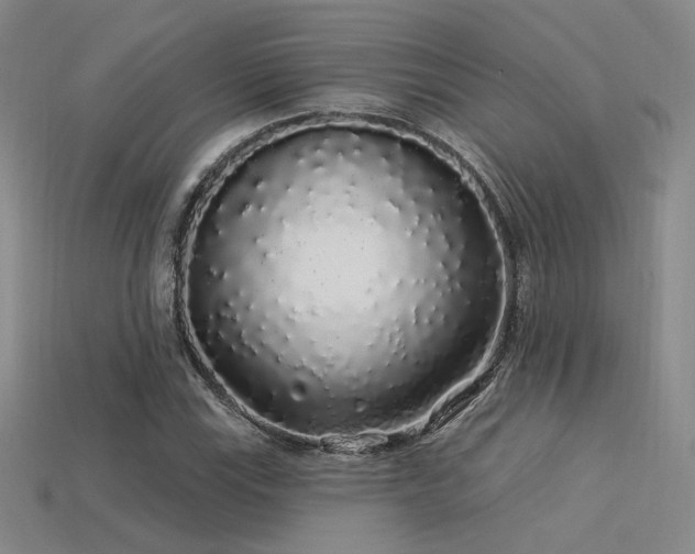 X0000113531115200909181129