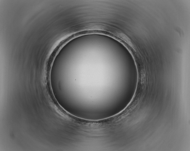 X0000113531116200909181129