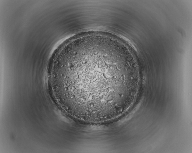 X0000113531117200909181129