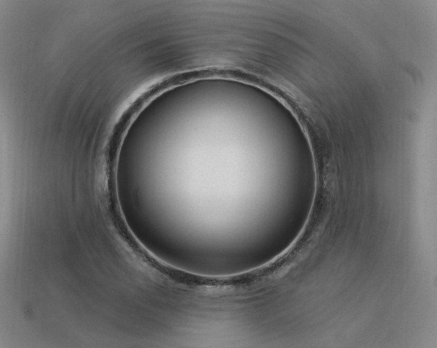 X0000113531118200909181129