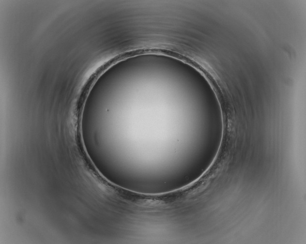 X0000113531119200909181129