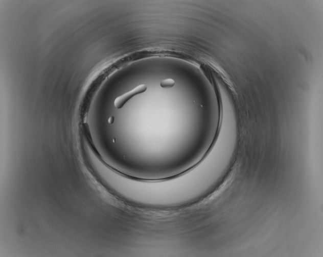 X0000113531122200909181129