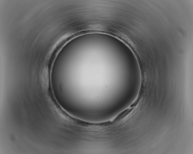 X0000113531123200909181129