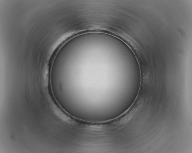 X0000113531126200909181129