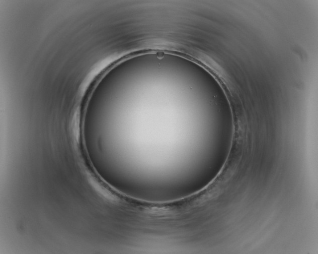 X0000113531128200909181129
