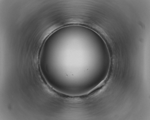 X0000113531129200909181129