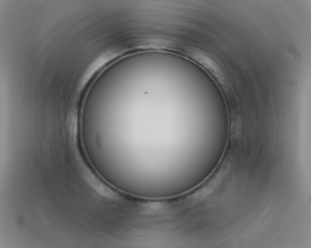 X0000113531130200909181129