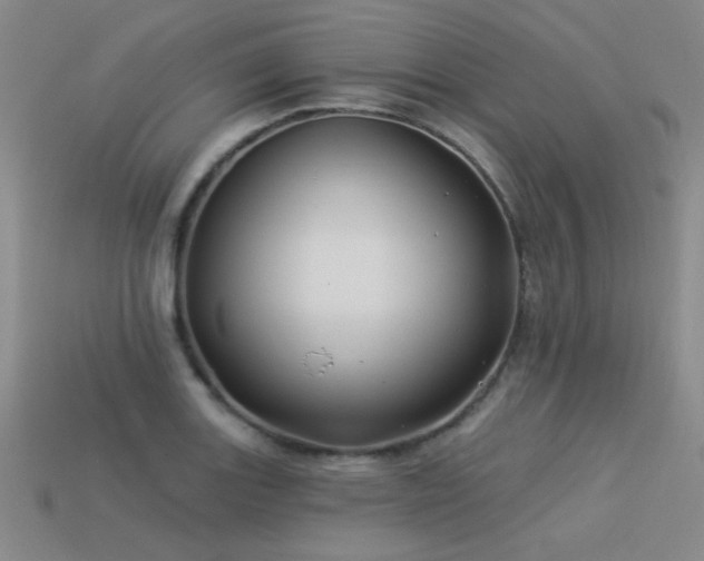 X0000113531131200909181129