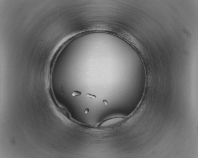 X0000113531132200909181129