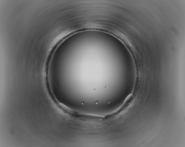 X0000113531133200909181129