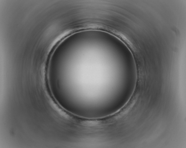 X0000113531134200909181129