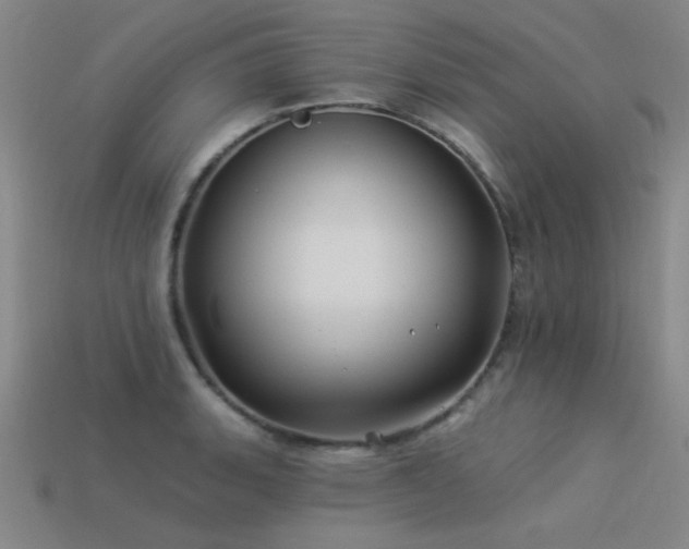 X0000113531135200909181129