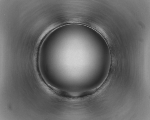 X0000113531138200909181130