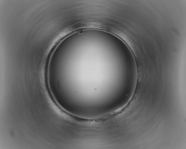 X0000113531139200909181130