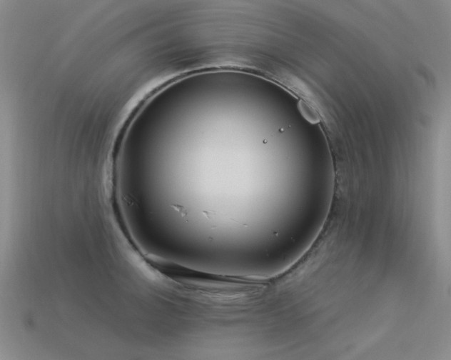 X0000113531140200909181130