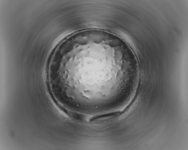 X0000113531141200909181130