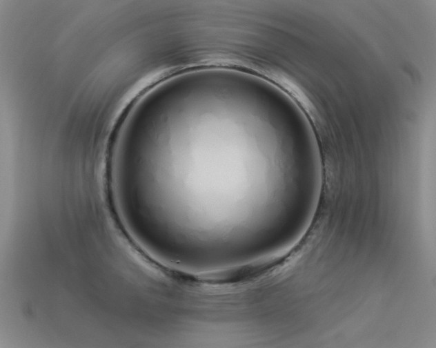 X0000113531142200909181130