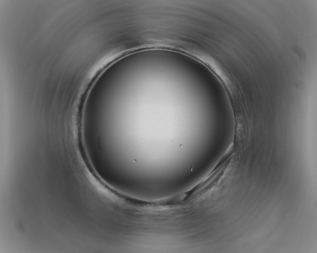 X0000113531143200909181130