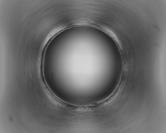 X0000113531146200909181130