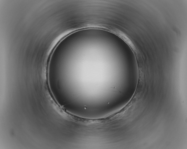 X0000113531148200909181130
