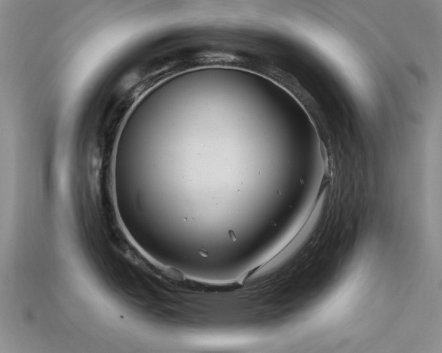 X0000113531151200909181130