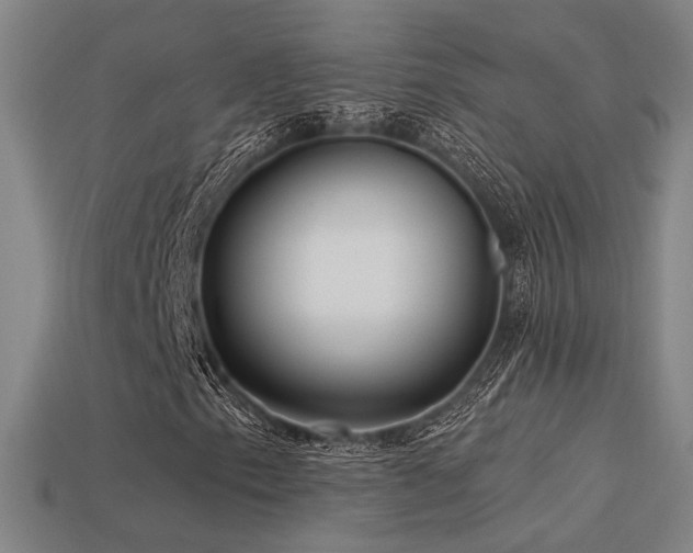 X0000113531153200909181129