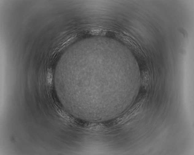 X0000113531154200909181129