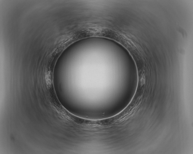 X0000113531156200909181129