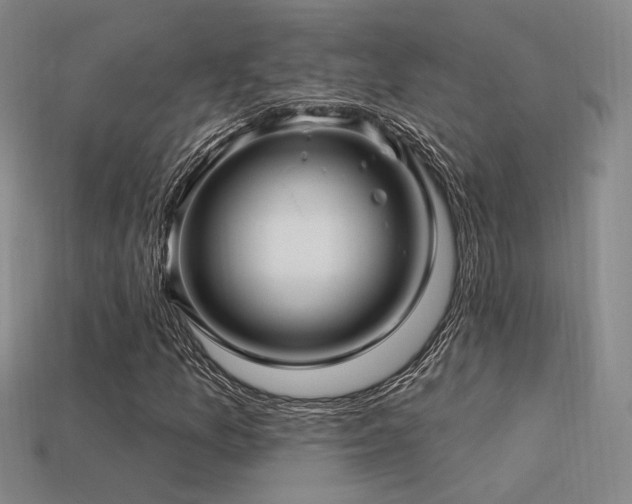X0000113531157200909181129