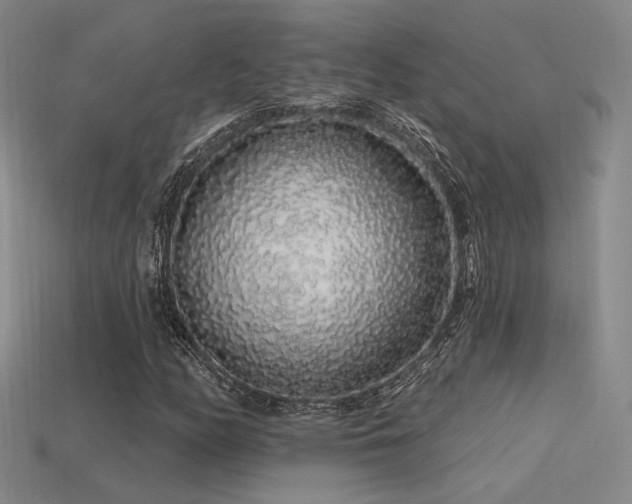 X0000113531158200909181129