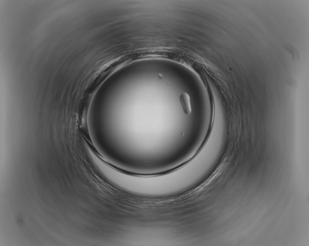 X0000113531161200909181129