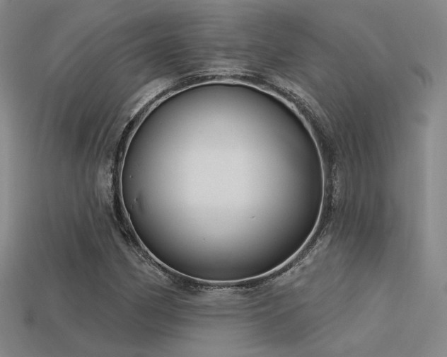 X0000113531162200909181129