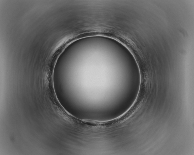 X0000113531163200909181129