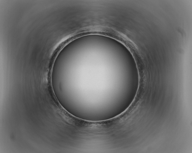 X0000113531166200909181129