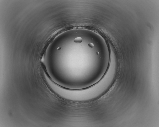 X0000113531169200909181129