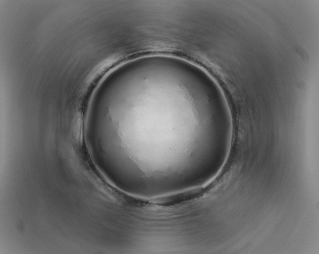 X0000113531171200909181129