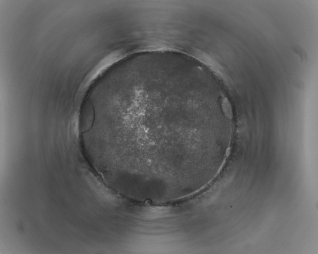 X0000113531173200909181129